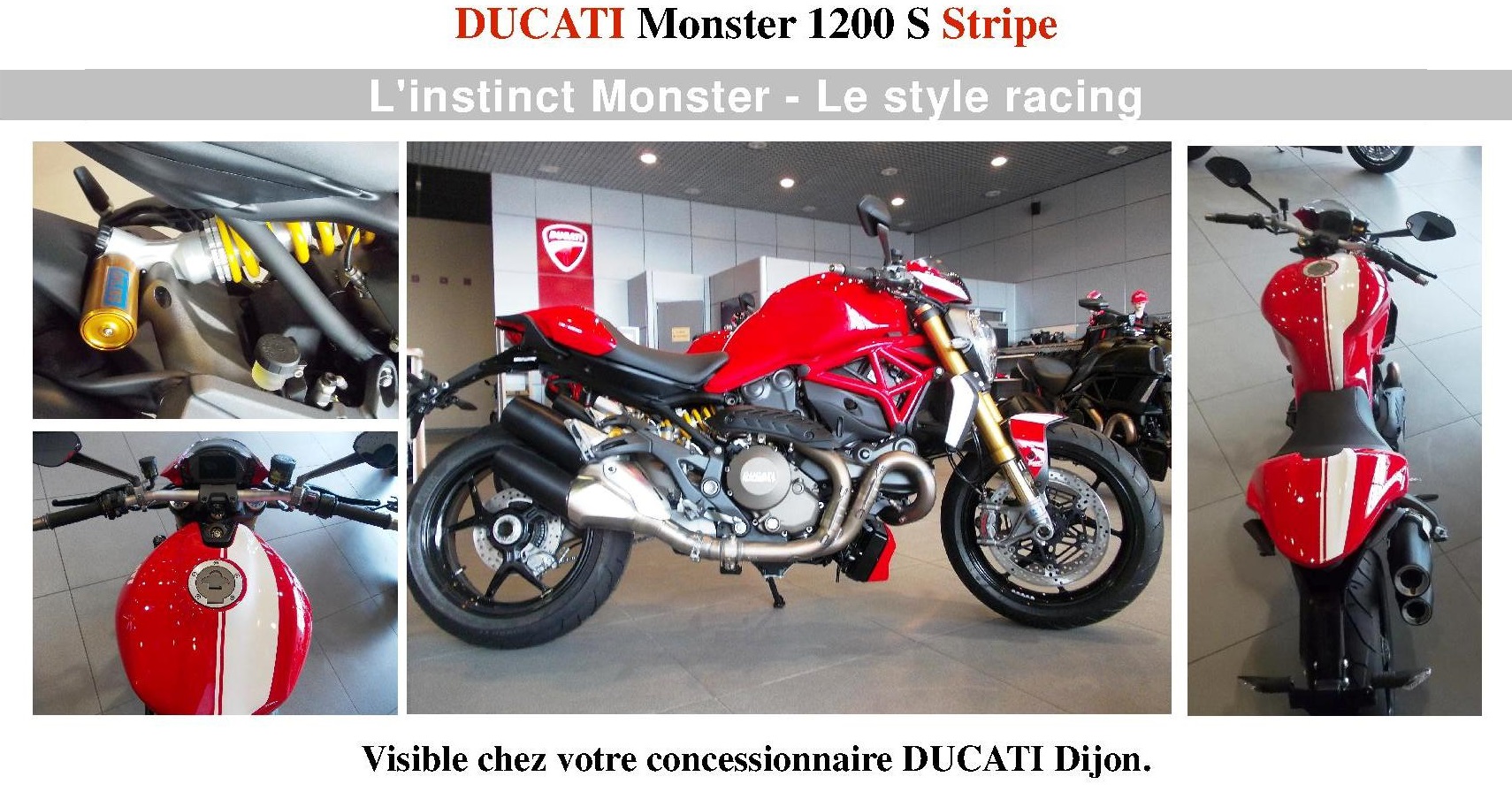NEWSLETTER MONSTER 1200 S STRIPE